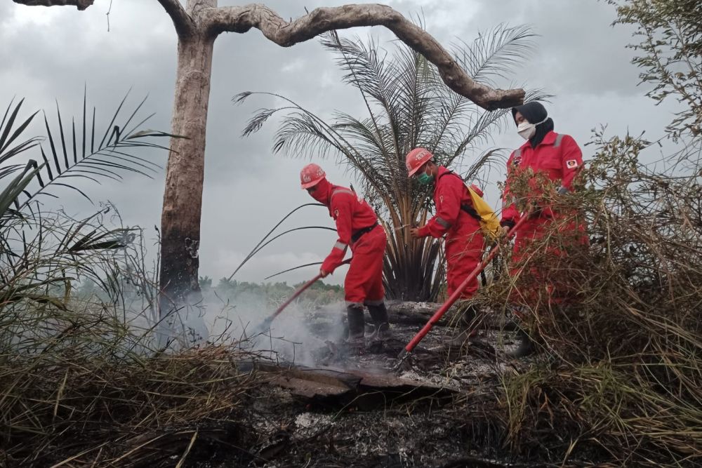 Aktor Utama Karhutla Harus Diungkap